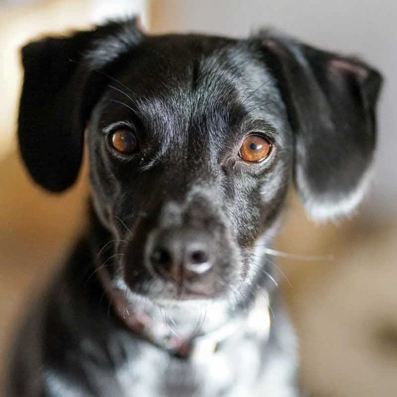 Sasja, unsere Spanierin