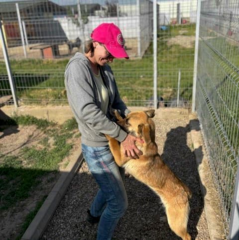Michaela in Aktion mit Hunden
